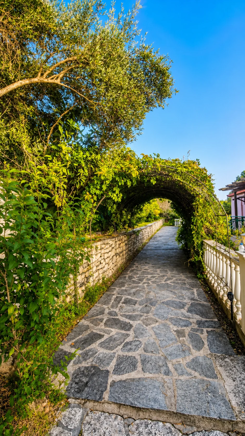 Stone garden walkway surrounded by Mediterranean greenery at Villa Vanda