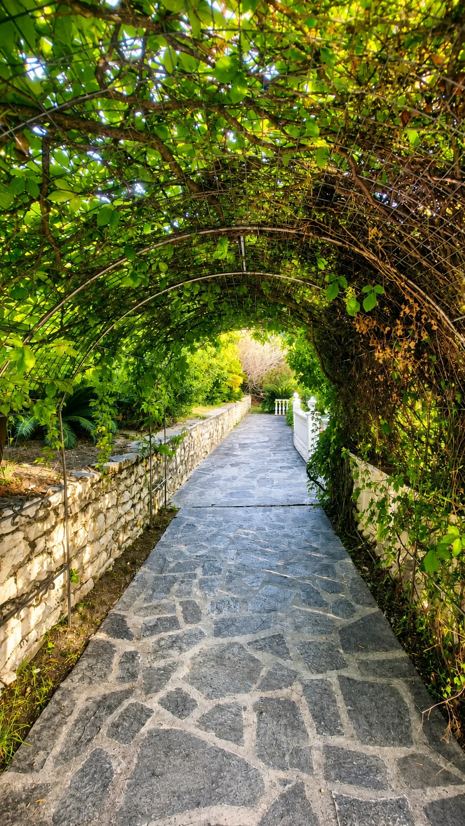 Green garden arch and stone pathway at Villa Vanda in Lygia